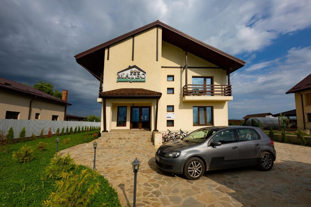 Hotel Pensiunea Mateo Buzau Exterior foto